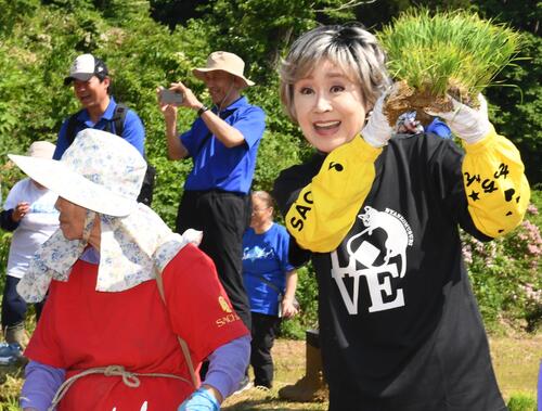 小林幸子の復興を願う米作りは今年が最後の可能性も「山古志で生まれ育ったことを誇りに思って」