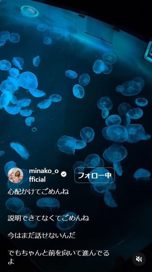 美奈子のインスタグラムから