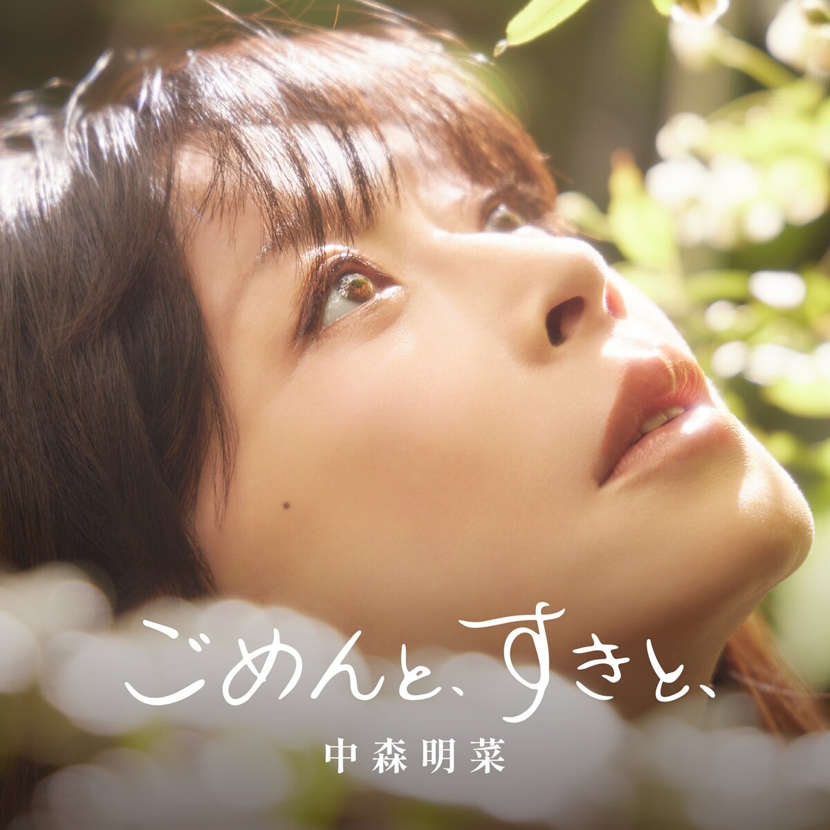 中森明菜の新曲「ごめんと、すきと、」通常版のジャケット写真