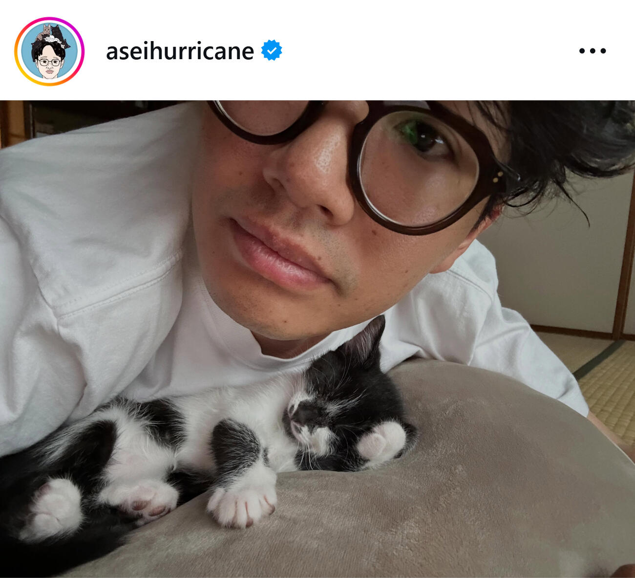 あざとすぎる保護猫（ミキ亜生のインスタグラムから）