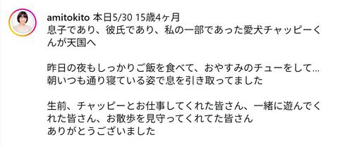 38歳元祖メガネっ子アイドル、15歳４カ月で愛犬が天国へ「息子であり、彼氏であり…」
