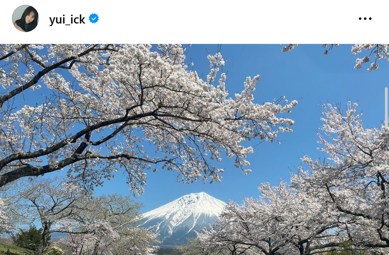 市川由衣のインスタグラムから