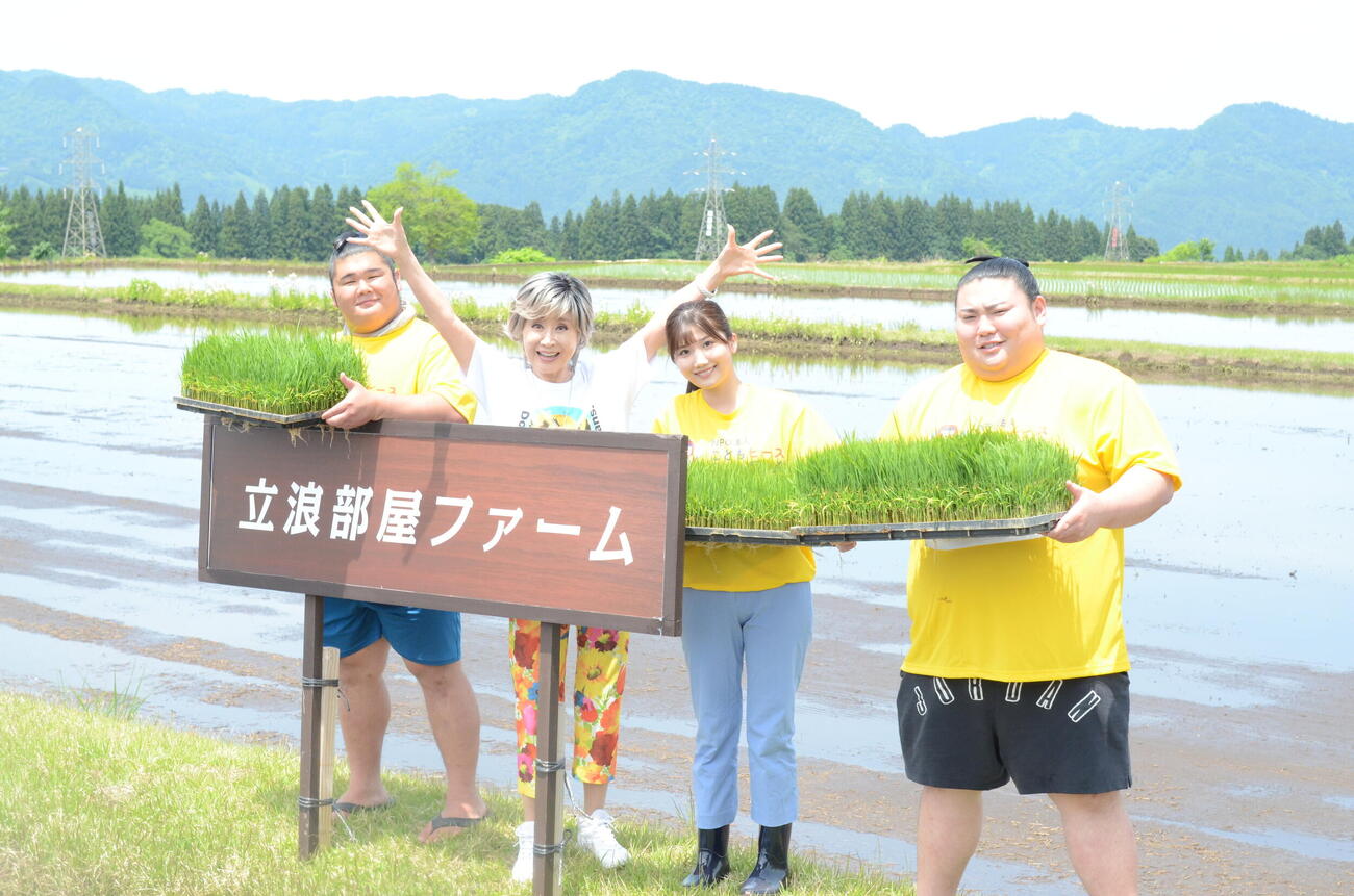 新潟県津南町の立浪部屋ファームで田植えした、左から木皇竜、小林幸子、伊藤悠真、大花竜