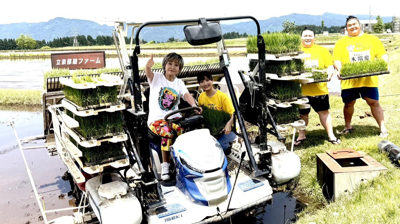 新潟県津南町の立浪部屋ファームで田植えをした、左から小林幸子、伊藤悠真、大花竜、木皇竜