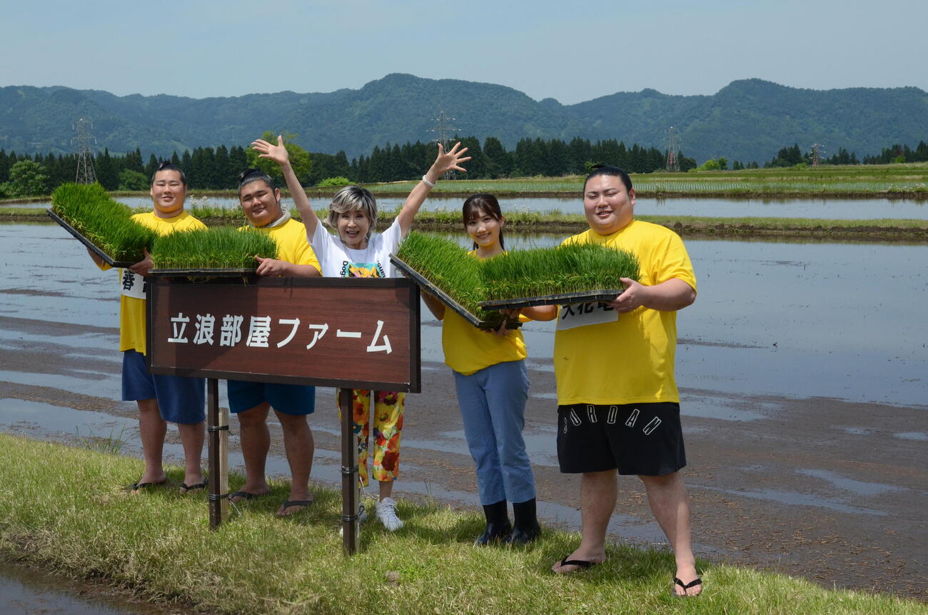 新潟県津南町の立浪部屋ファームで田植えした、左から春雷、木皇竜、小林幸子、伊藤悠真、大花竜