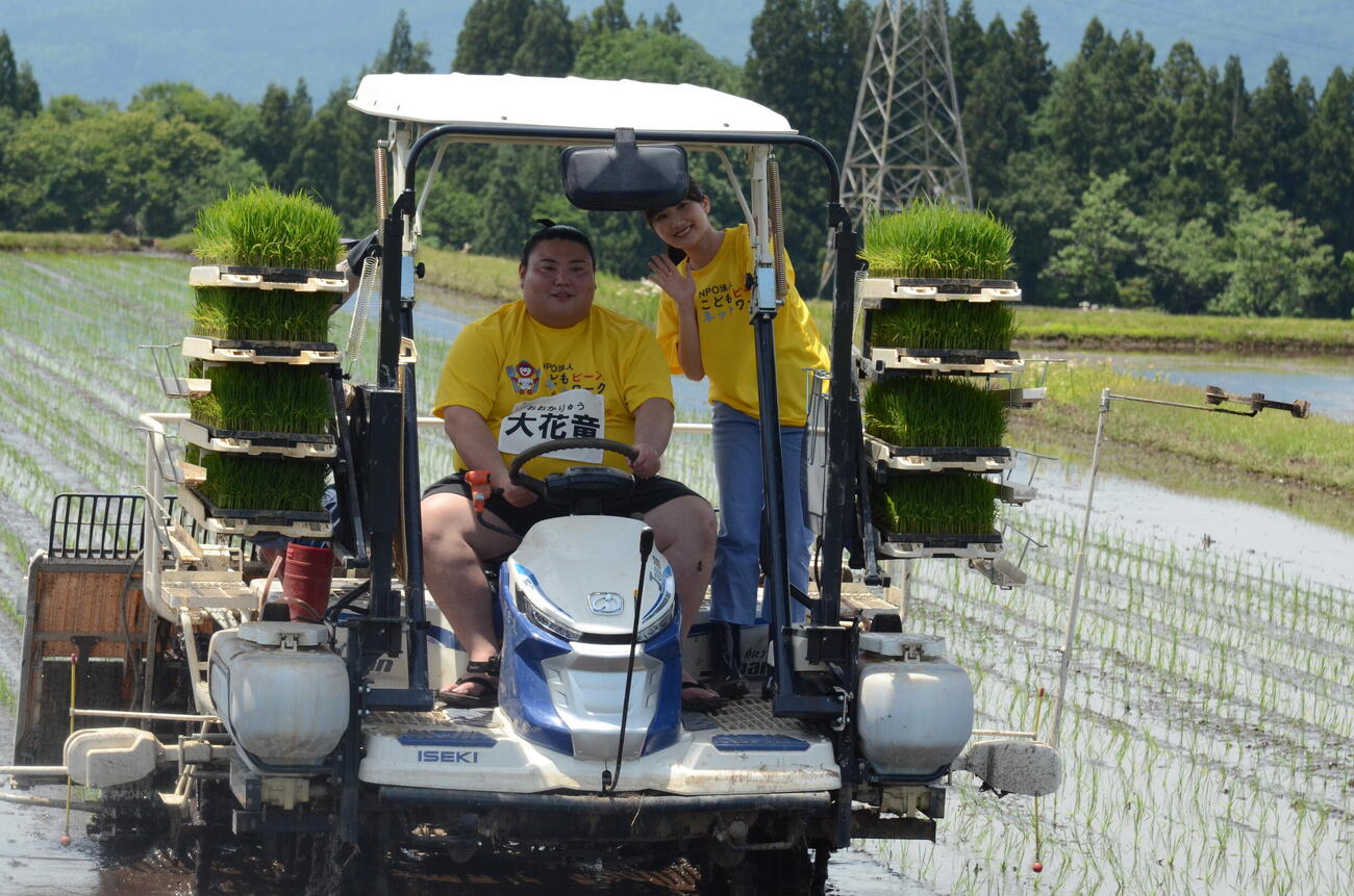 青森県の三木農業から近大を経て角界入りした大花竜（左）は伊藤悠真を乗せて田植え機を運転