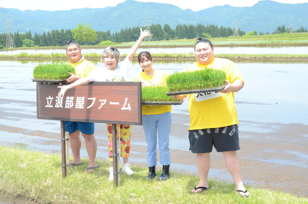 新潟県津南町の立浪部屋ファームで田植えした、左から春雷、木皇竜、小林幸子、伊藤悠真、大花竜