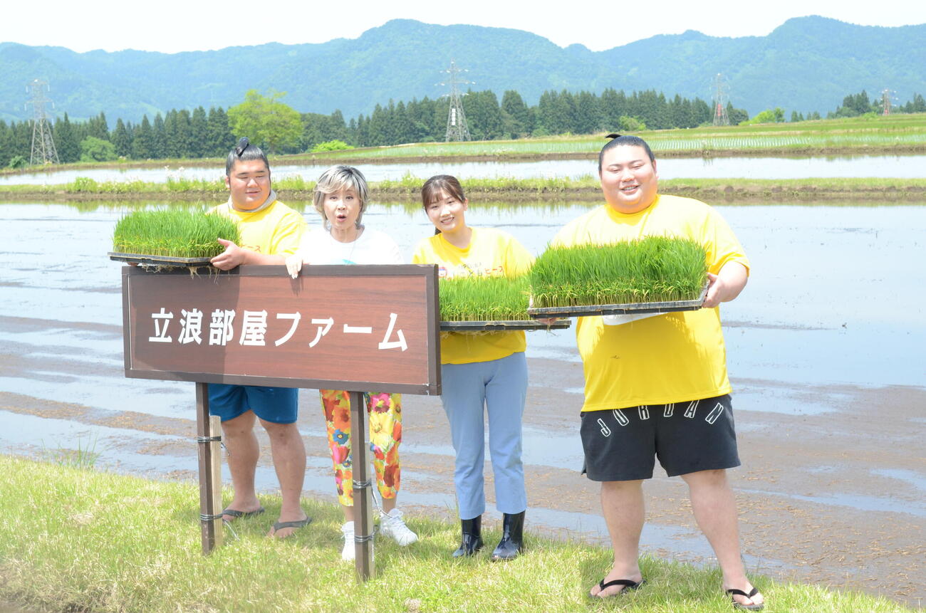 新潟県津南町の立浪部屋ファームで田植えした、左から木皇竜、小林幸子、伊藤悠真、大花竜