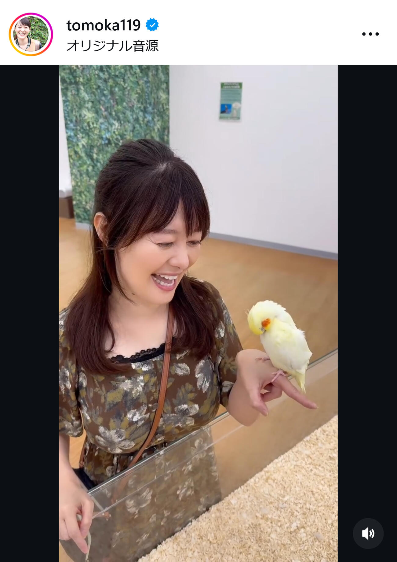 オカメインコを手に乗せた竹中知華アナ（ラジオ沖縄竹中知華アナのインスタグラムから）