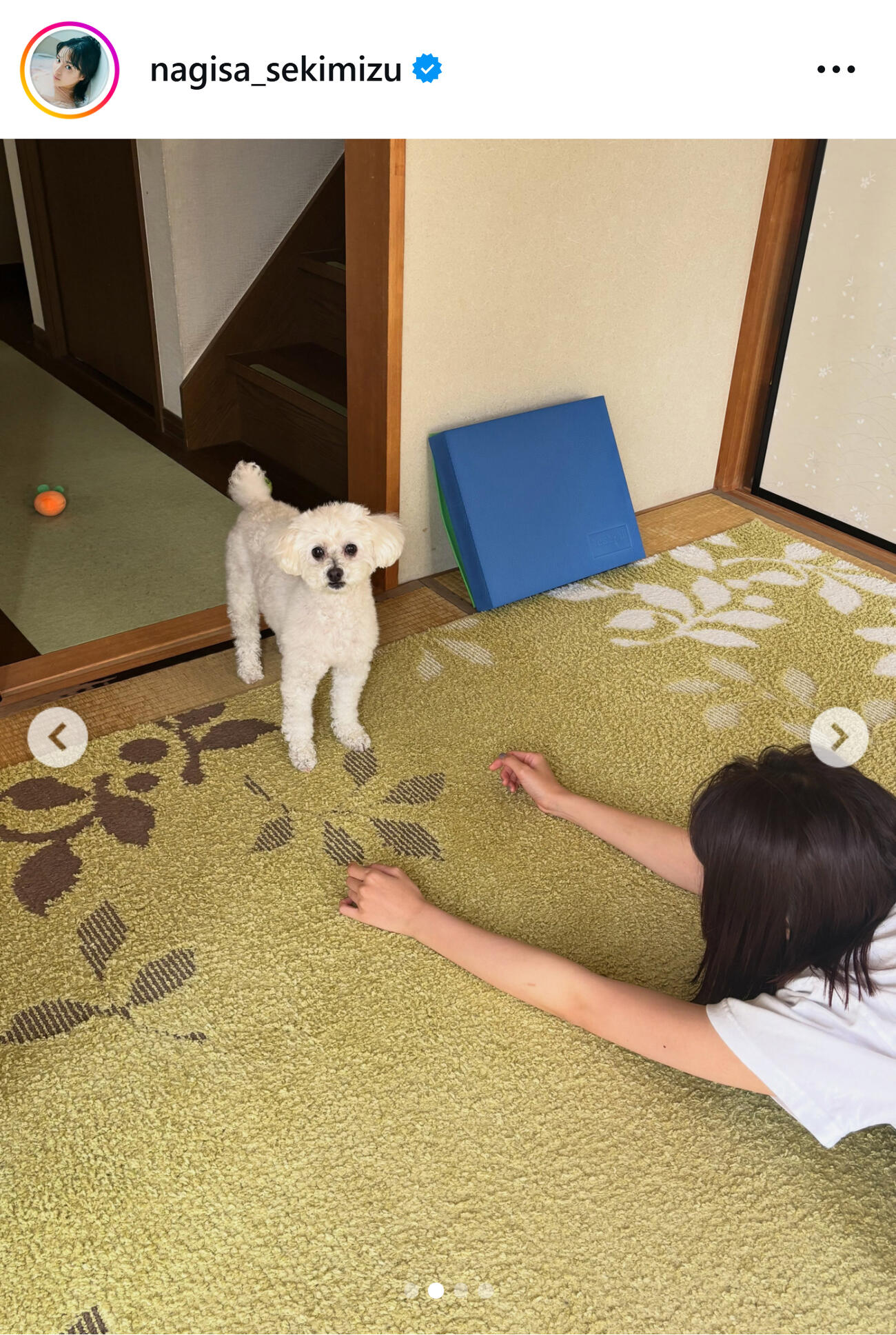 関水渚のインスタグラムから