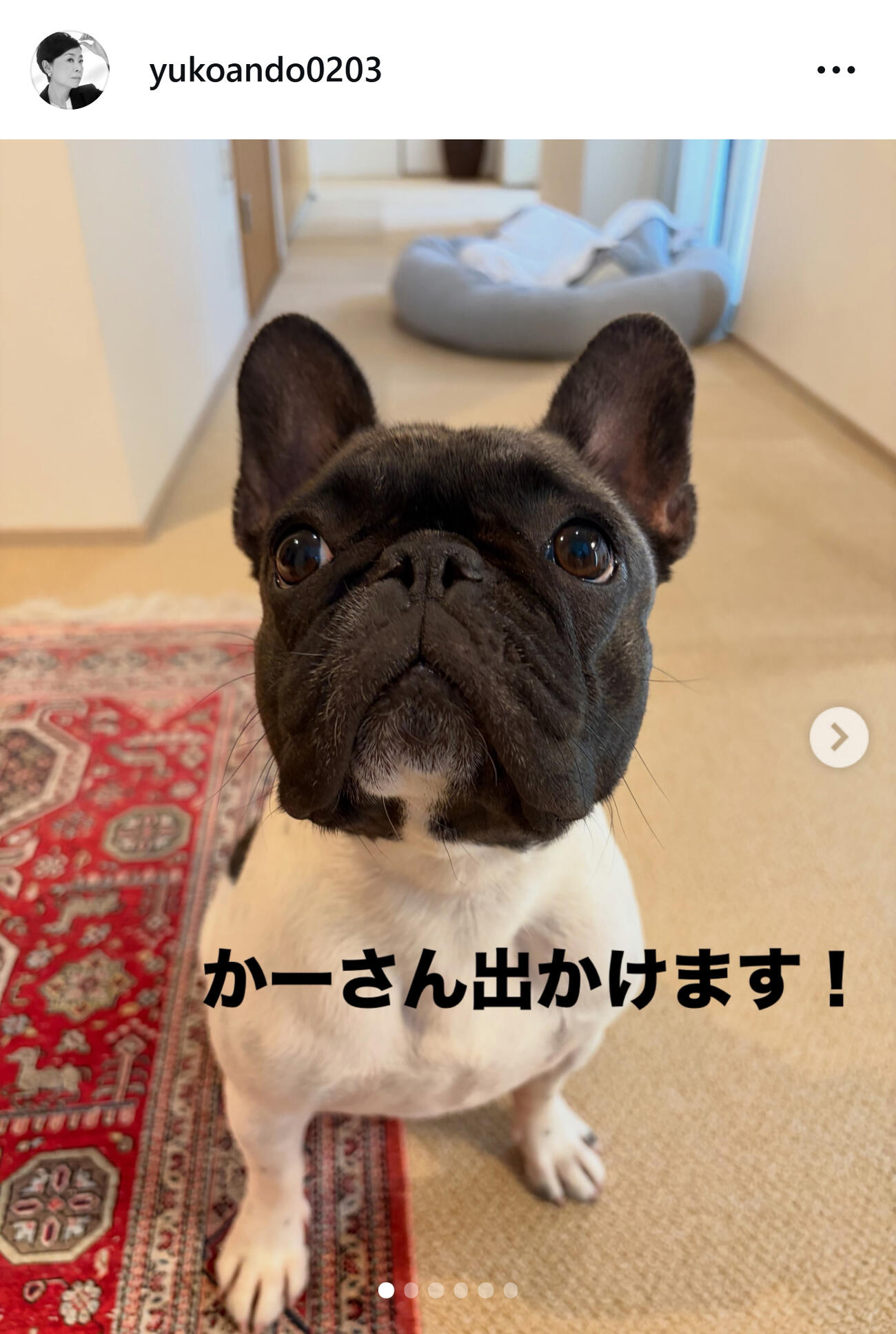 安藤優子のインスタグラムから