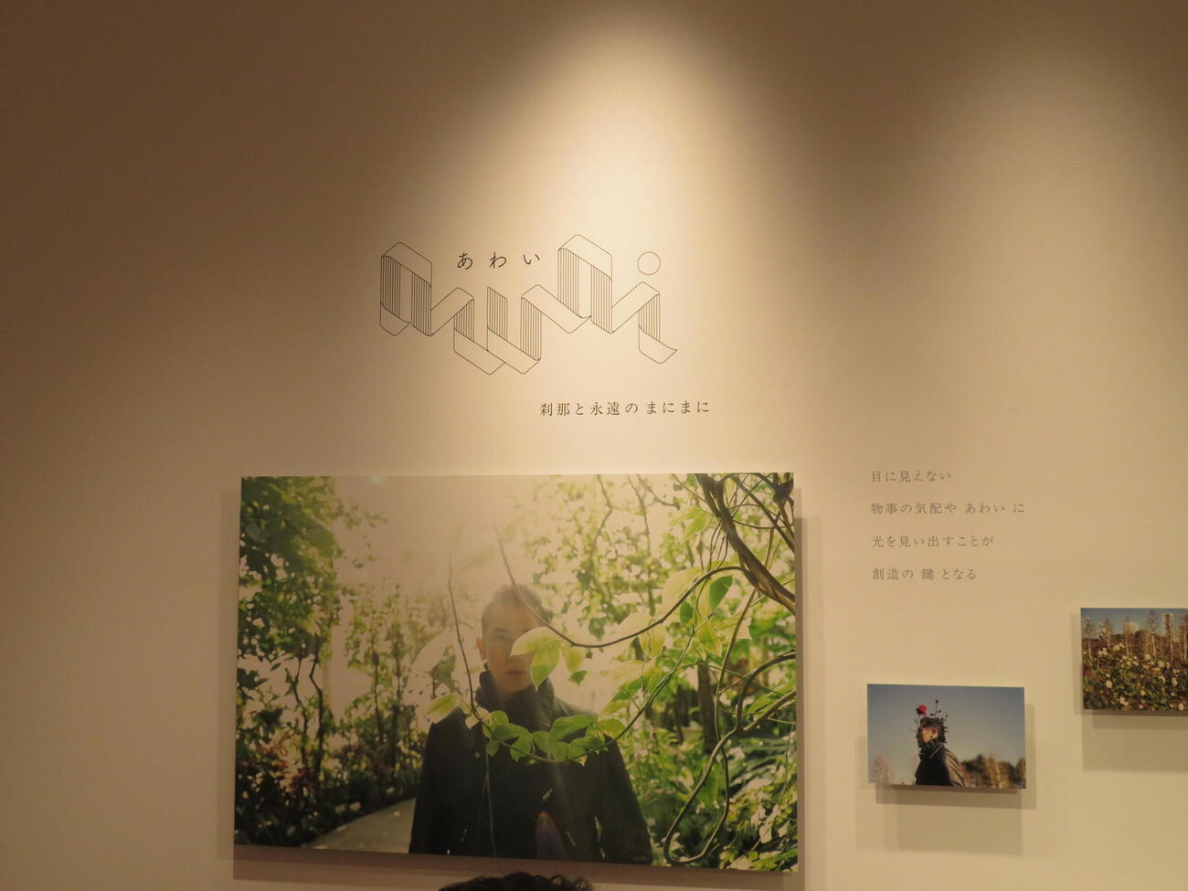 フォトブック「awai　刹那と永遠のまにまに」パネル展示