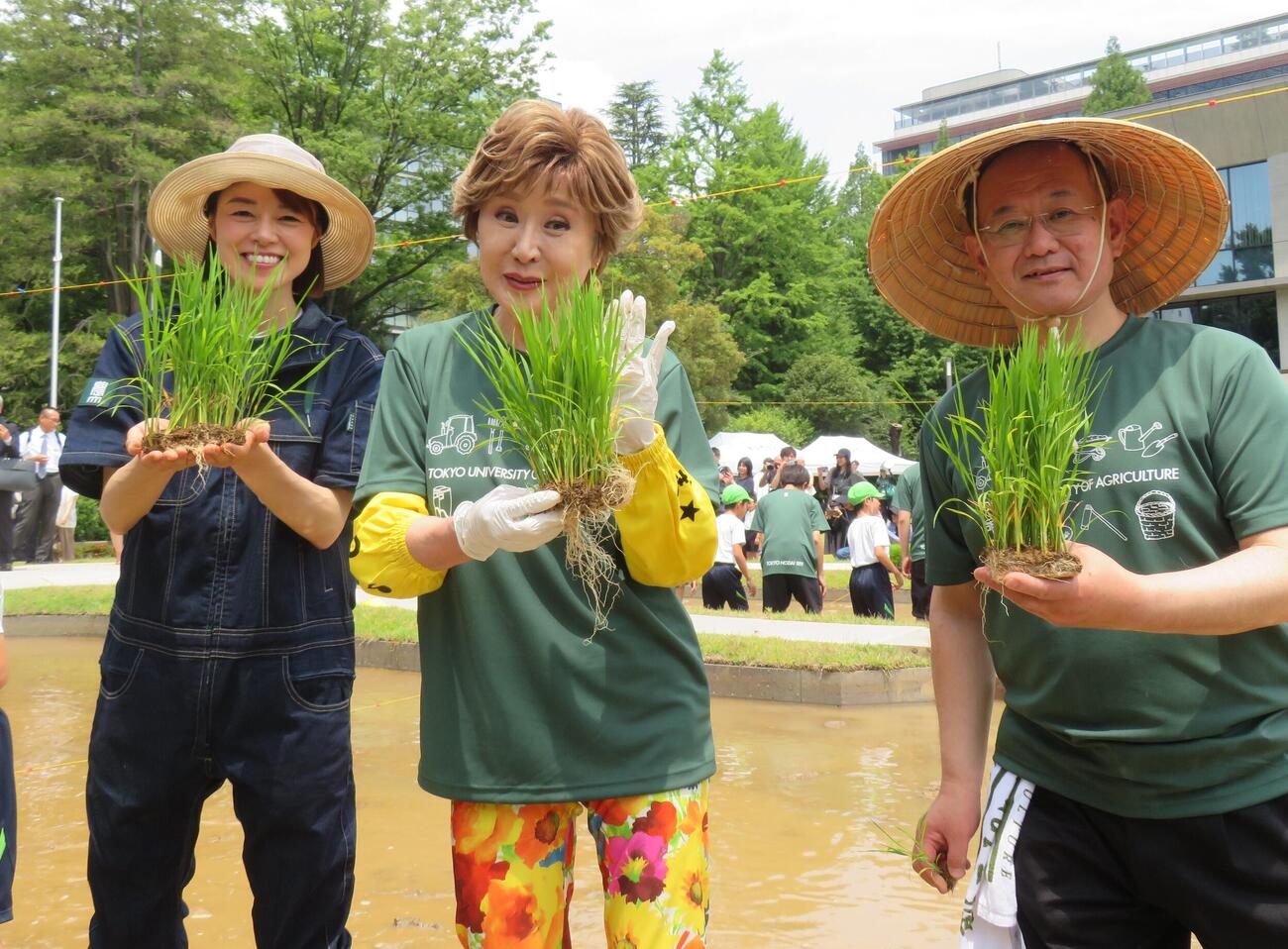 東農大世田谷キャンパスで田植えを行った、左から川瀬良子、小林幸子、江口文陽学長