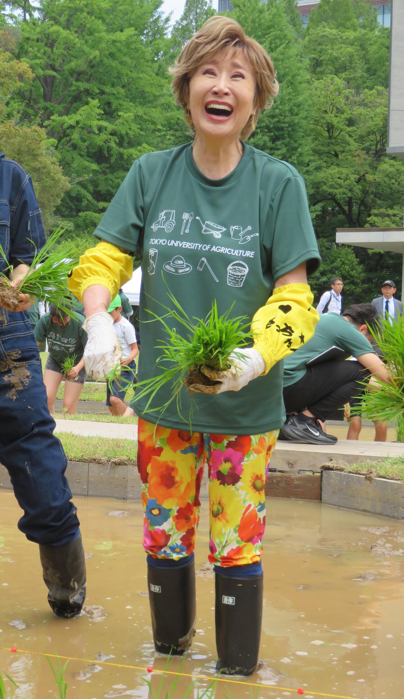 東農大世田谷キャンパスで田植えを行った小林幸子