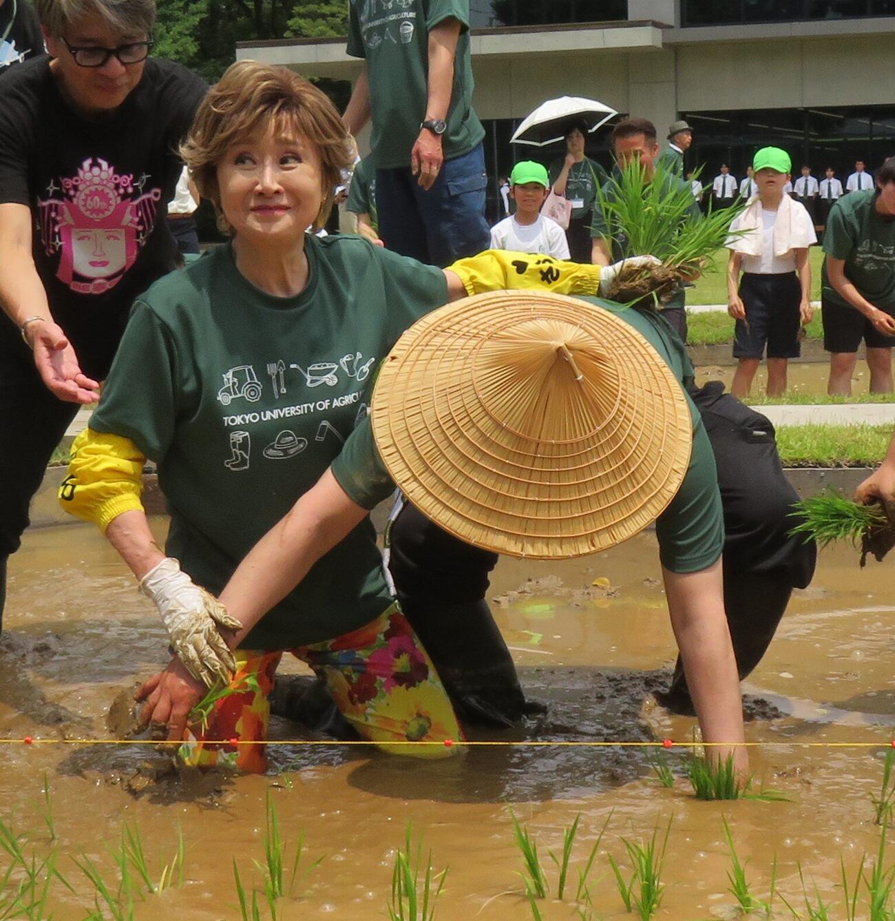 田植えで転倒した小林幸子