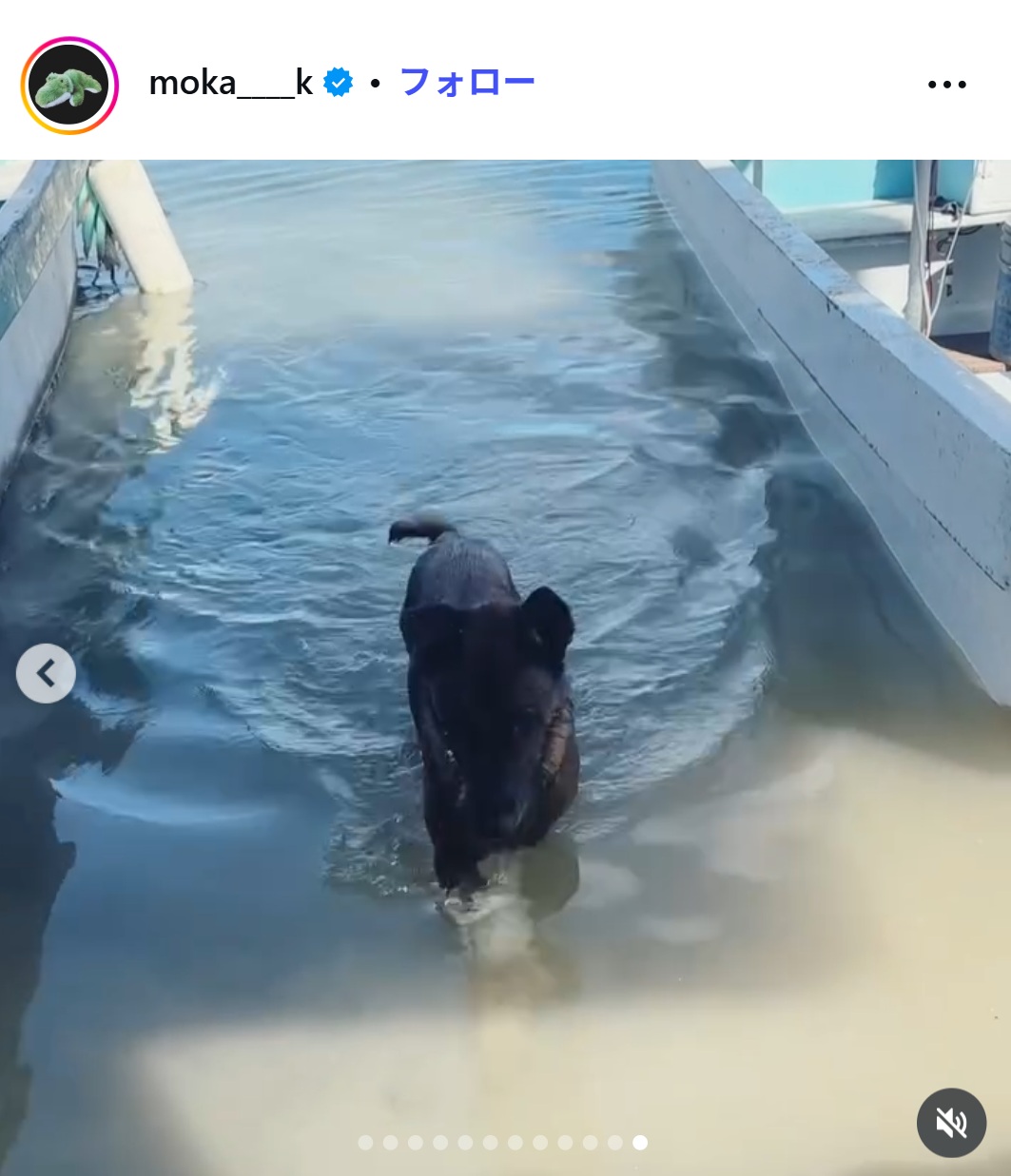 上白石萌歌のインスタグラムから