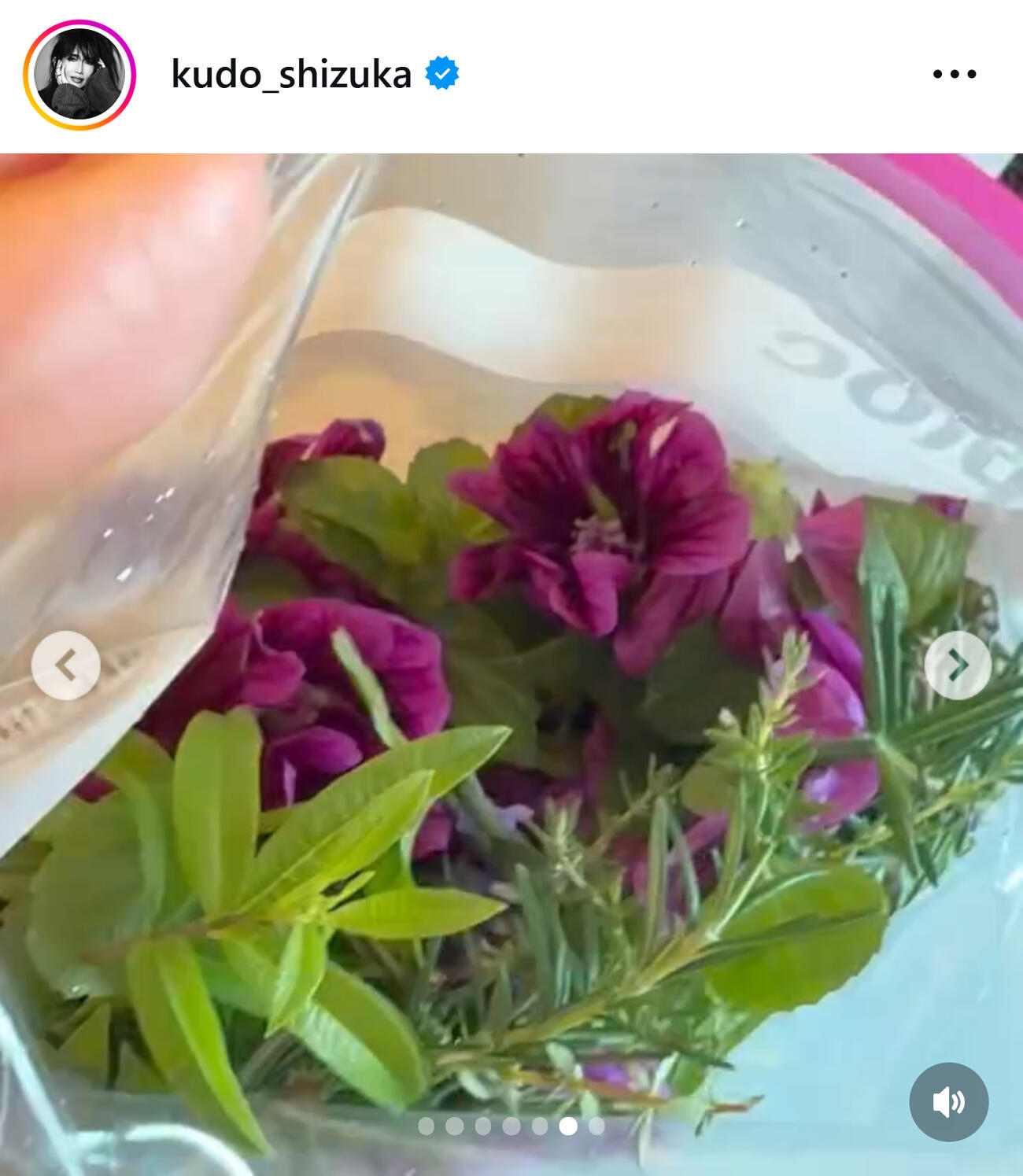 工藤静香のインスタグラムから