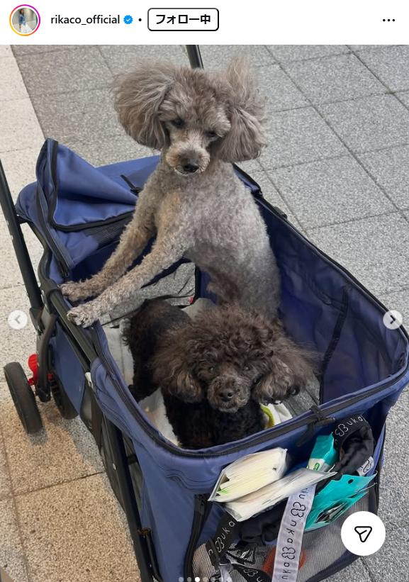 RIKACOのインスタグラムから