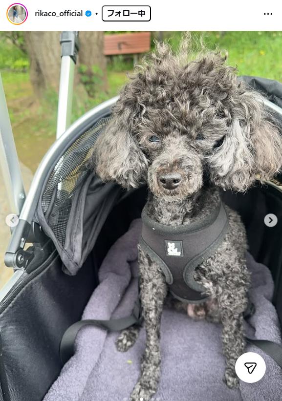 RIKACOのインスタグラムから