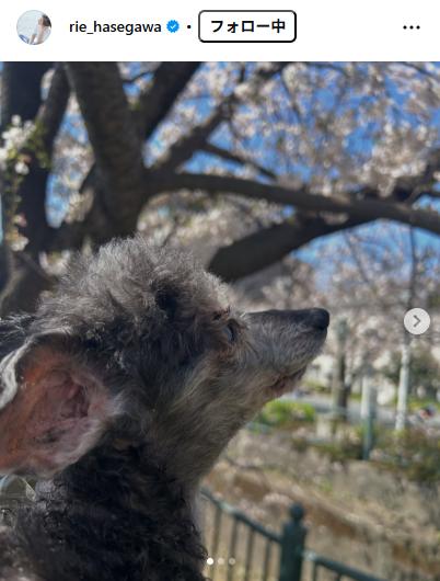 長谷川理恵のインスタグラムから