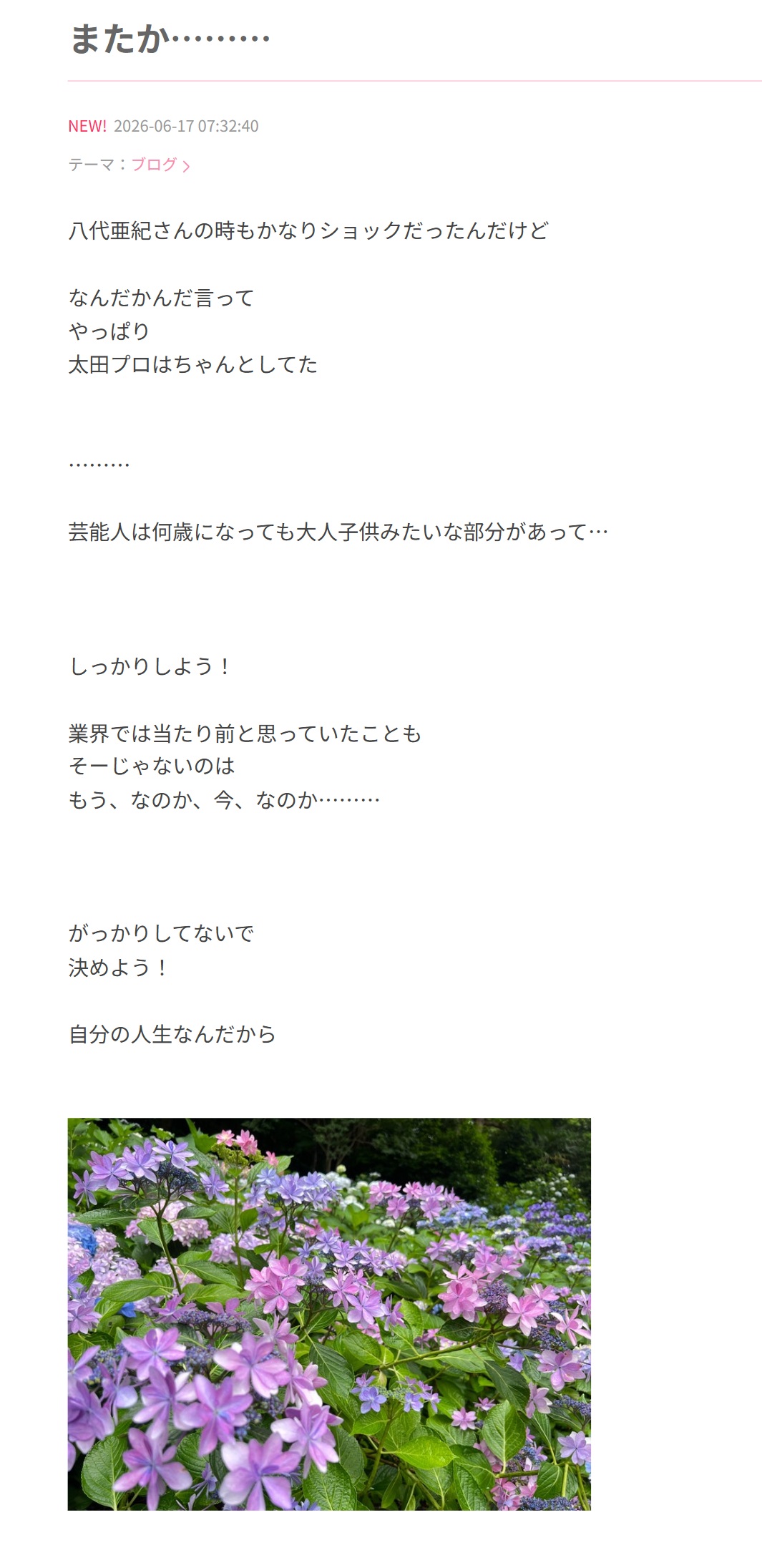山田邦子のブログから