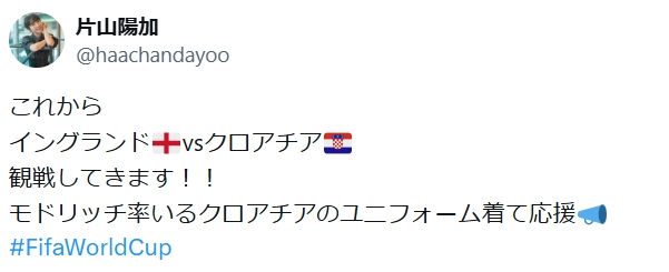 片山陽加のXから