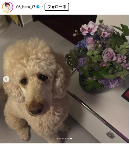 波瑠のインスタグラムから