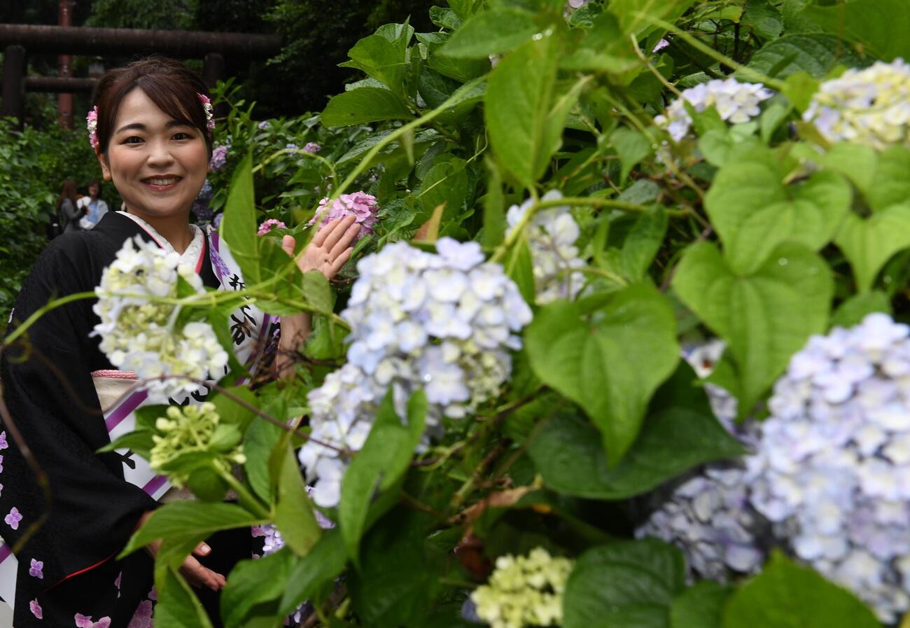 栃木市の「あじさいまつり」で歌唱した平山花羽