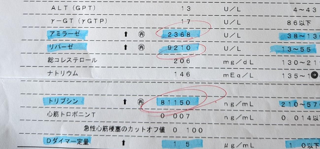 オール巨人のXから