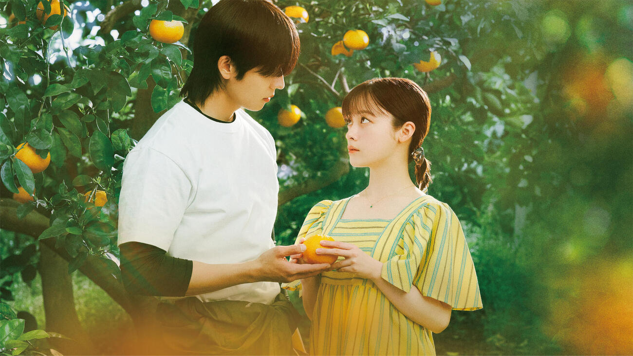 ABEMAオリジナルドラマ「バカンスの法則」に出演するチェ・ジョンヒョプ（左）と橋本環奈（C）AbemaTV, Inc.