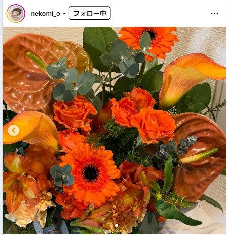 ねこみ。のインスタグラムから