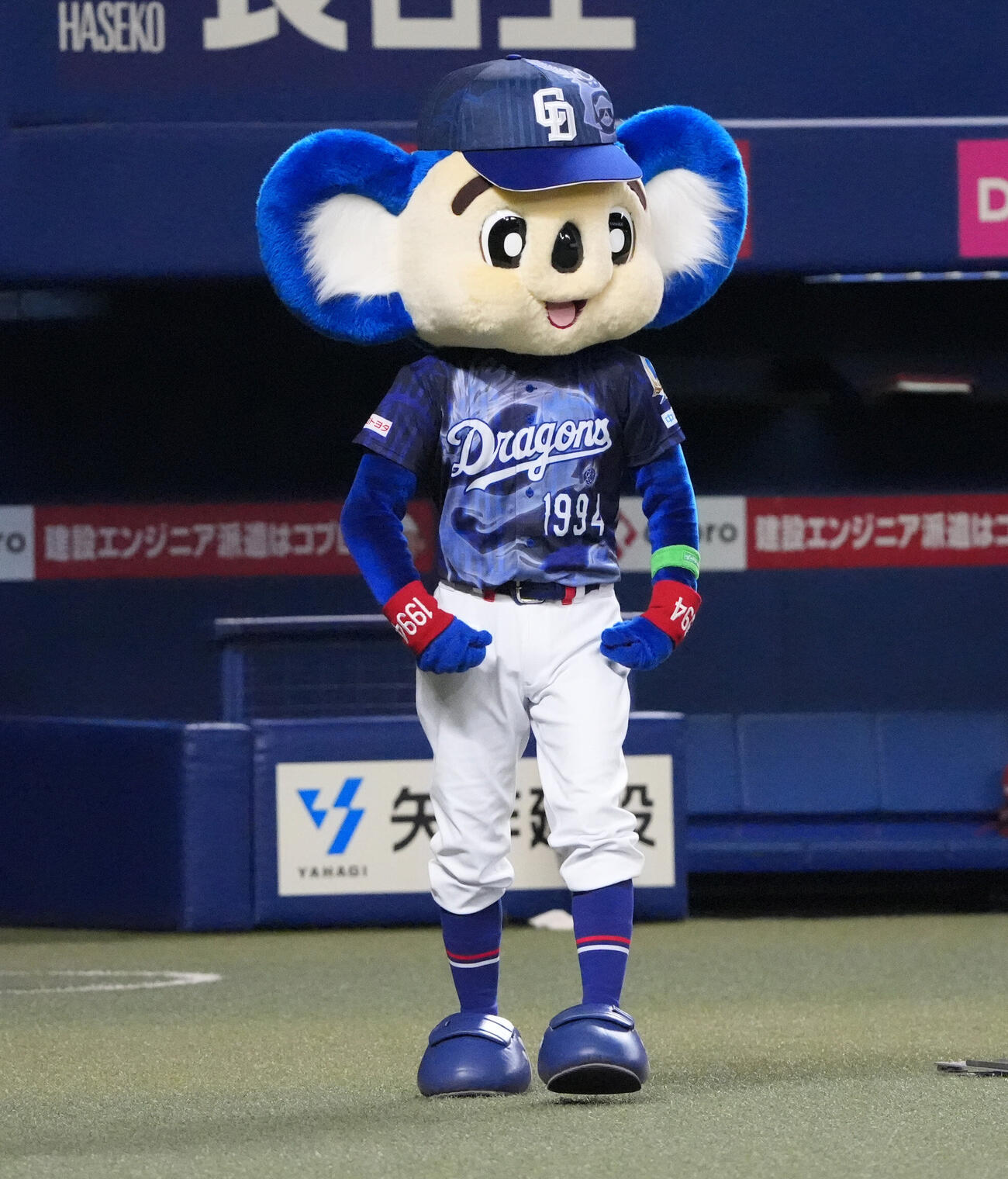 ドアラ（2026年5月撮影）
