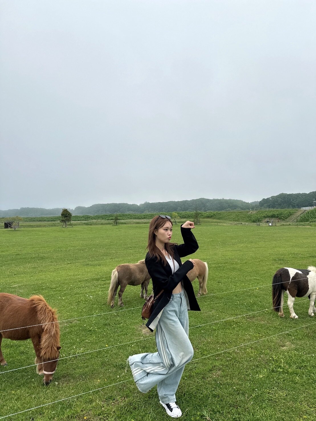 “すぐ旅に出ちゃうよ産”の私。日高では馬とたくさん触れ合ってきました