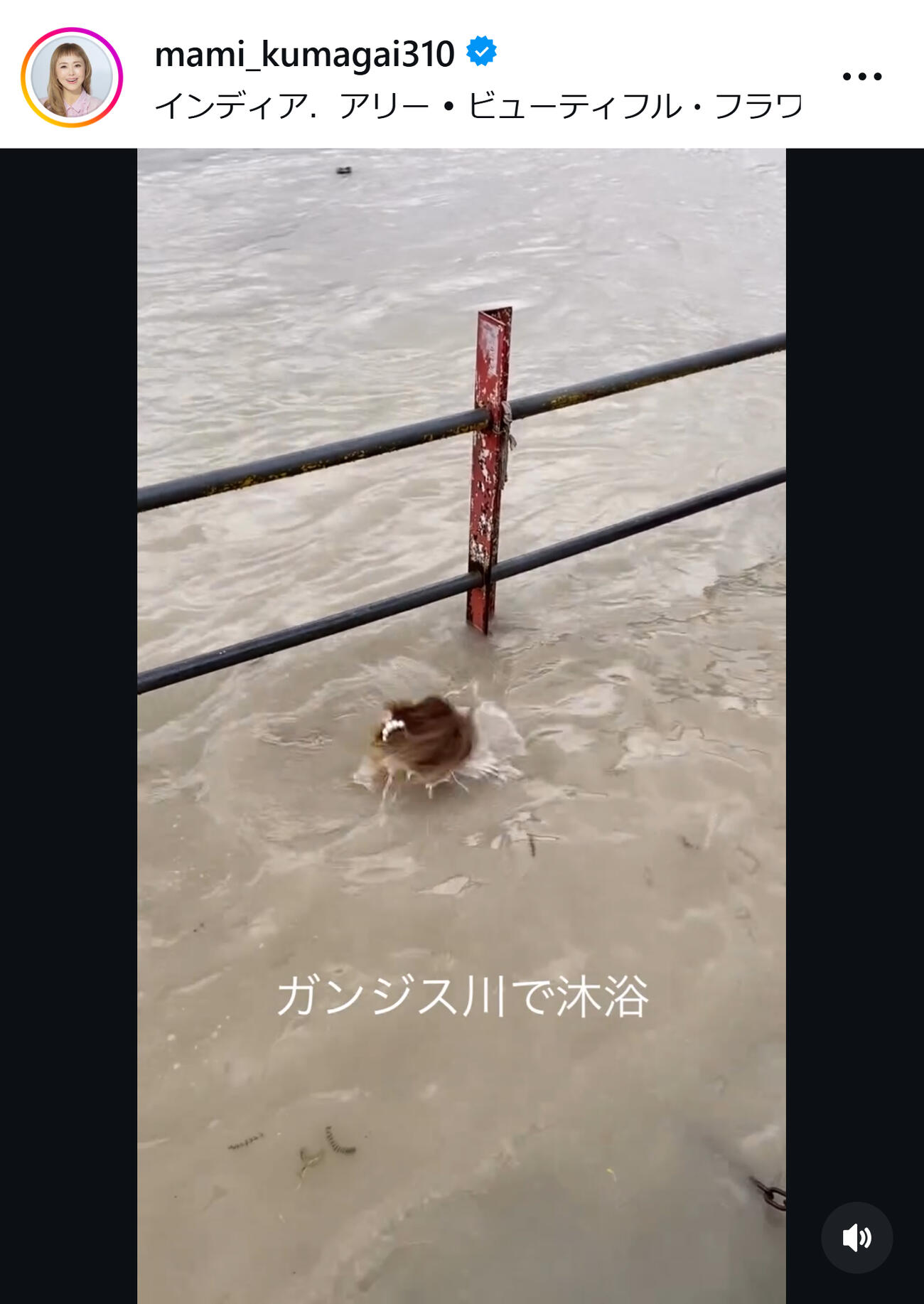 熊谷真実のインスタグラムから