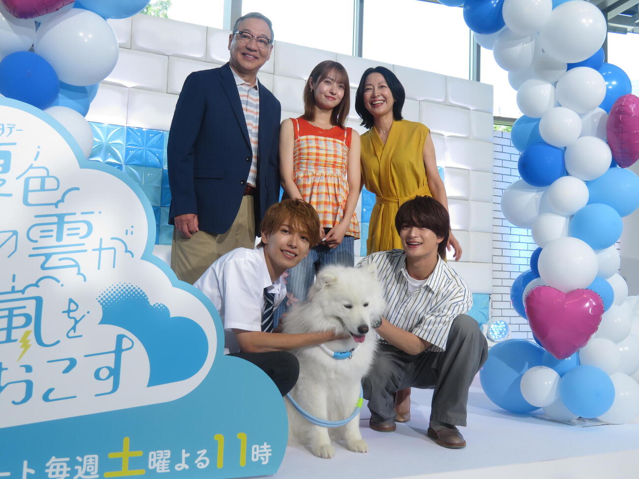 「夏色の雲が恋と嵐をまきおこす」制作発表記者会見に登壇した、後列左から井上肇、田辺桃子、羽田美智子、下段左からACEes深田竜生、犬のロック、浮所飛貴