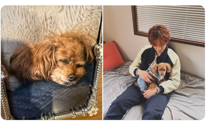 真田佑馬のXから
