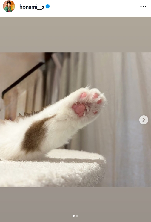 さとうほなみのインスタグラムから