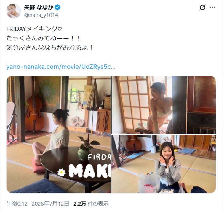 矢野ななかのXから