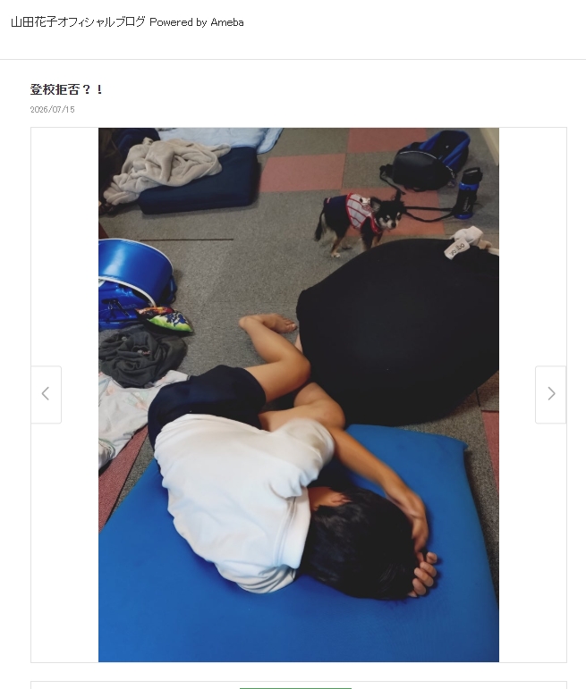 山田花子のブログから