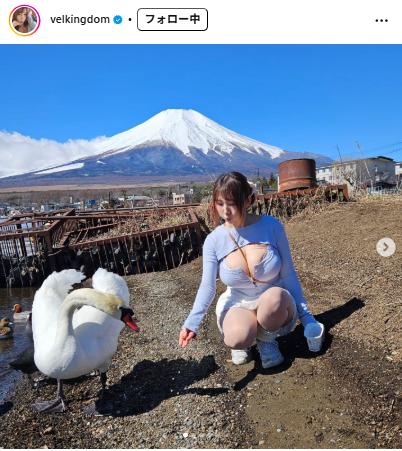 ベルちゃんのインスタグラムから