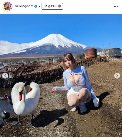 ベルちゃんのインスタグラムから