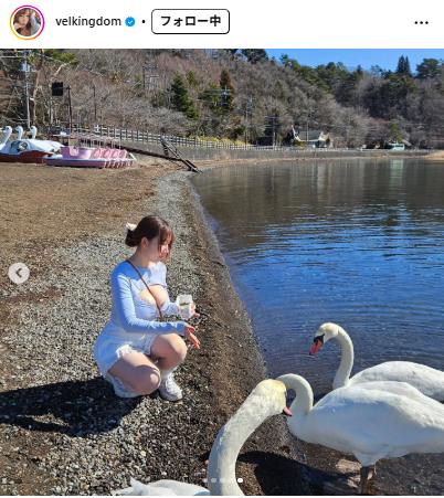 ベルちゃんのインスタグラムから