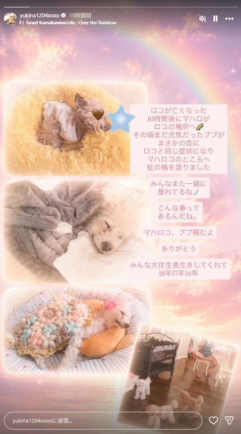 木下優樹菜のインスタグラムから