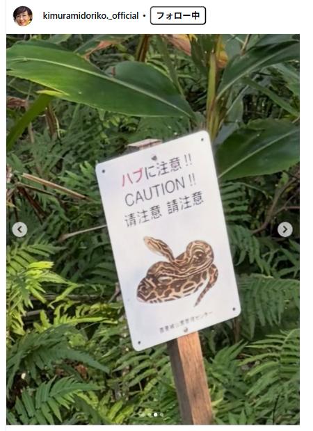 キムラ緑子のインスタグラムから