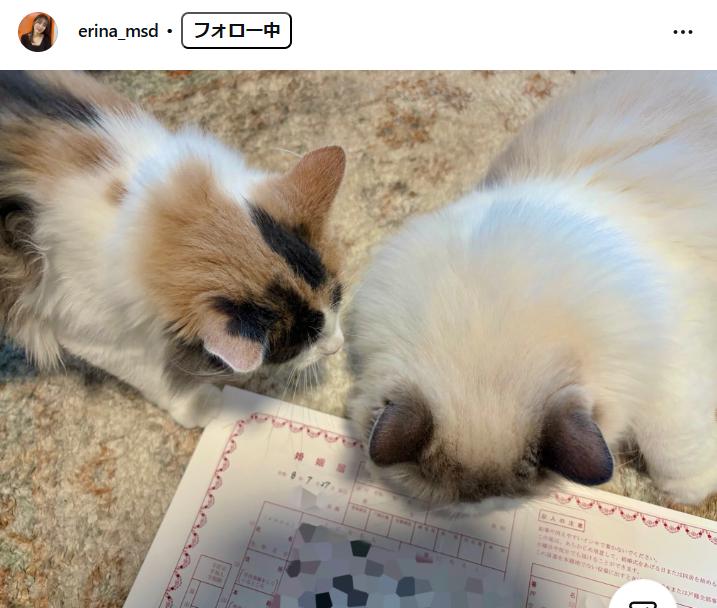 益田恵梨菜のインスタグラムから