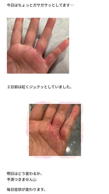 堀ちえみのブログから