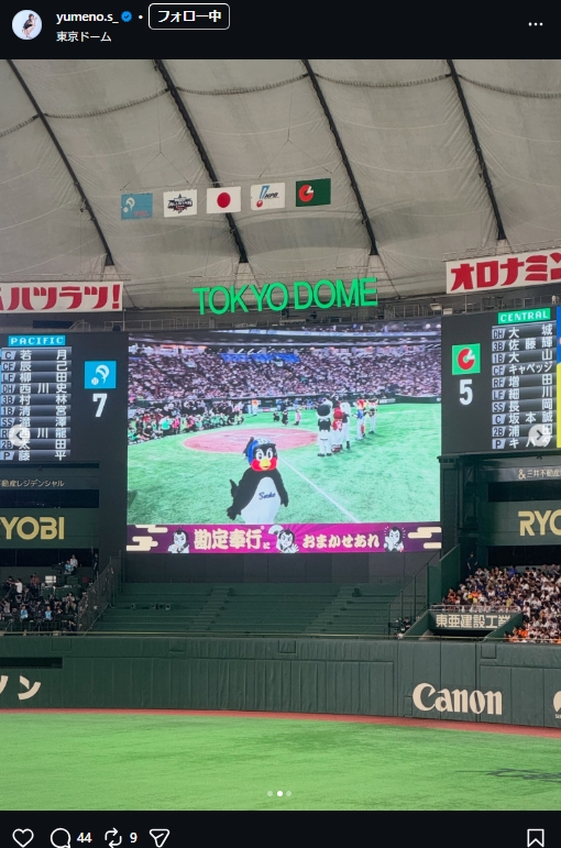 白戸ゆめののインスタグラムから
