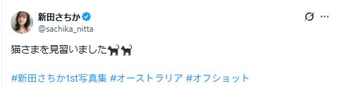 新田さちかのXから