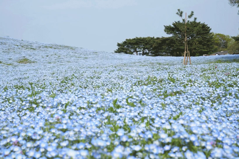 檜山沙耶のインスタグラムから