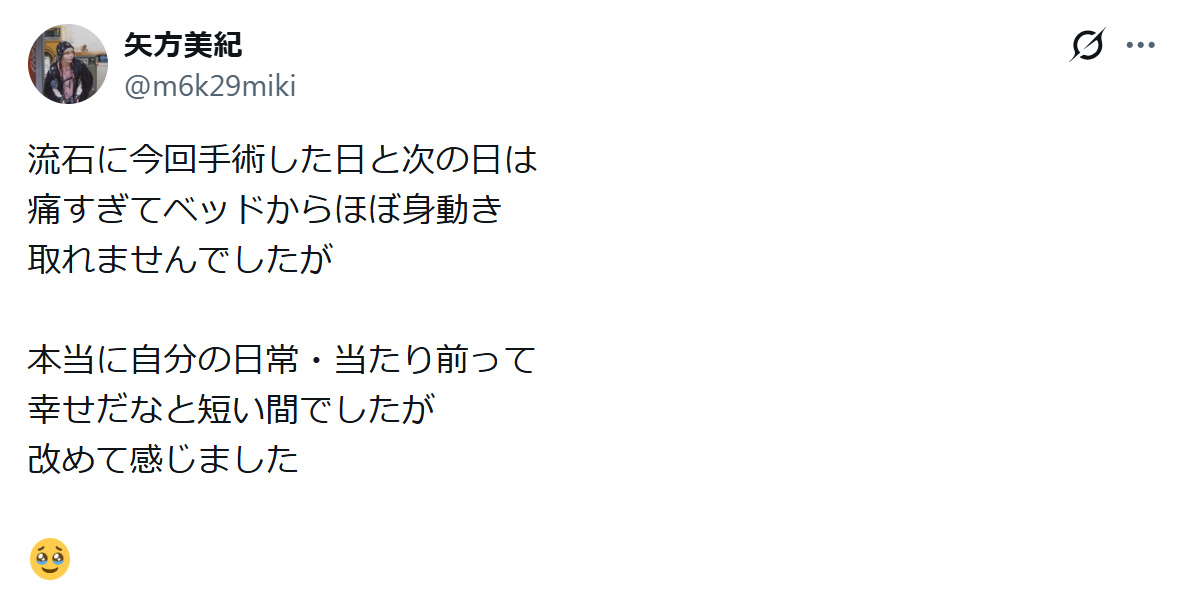 矢方美紀のXから